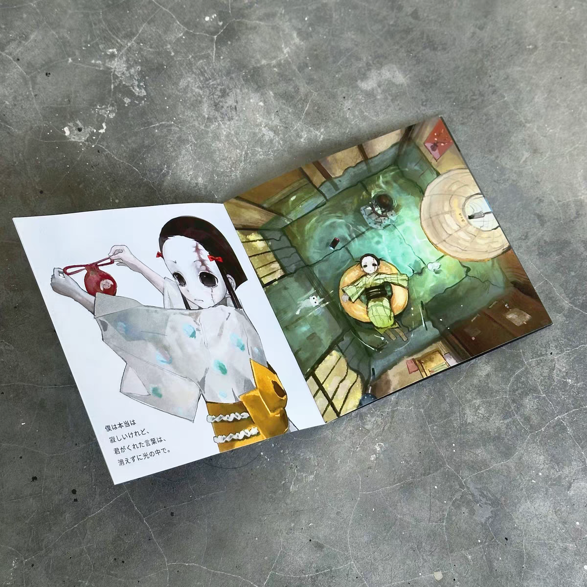 inside pages of the illustration booklet